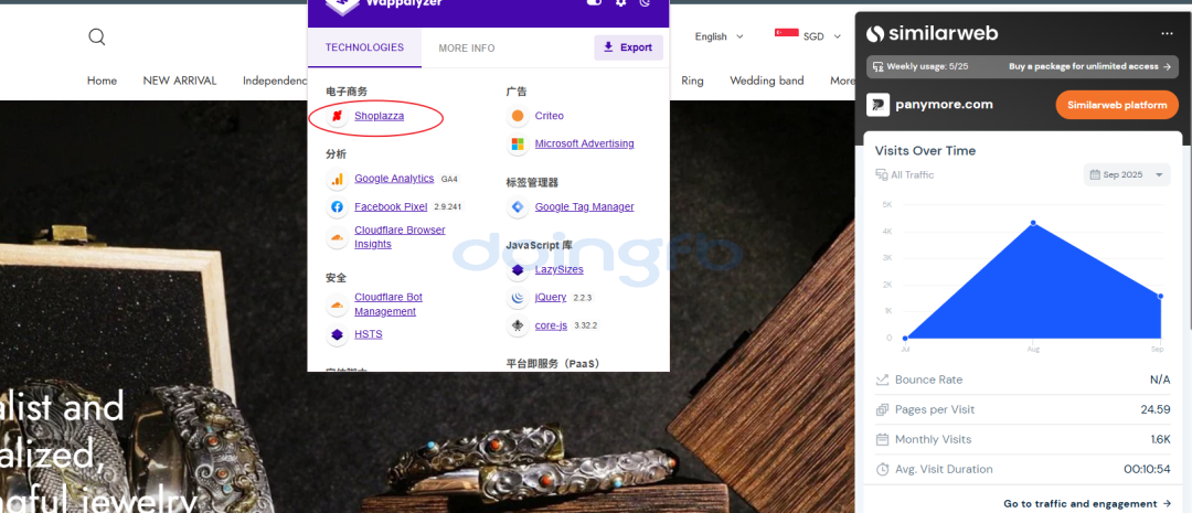 如何通过广告资料库 + IP 查询找到同行的独立站